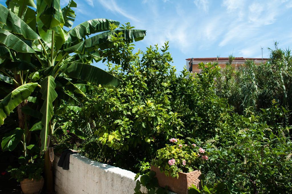Studios Margarita Petalídhion Exteriér fotografie